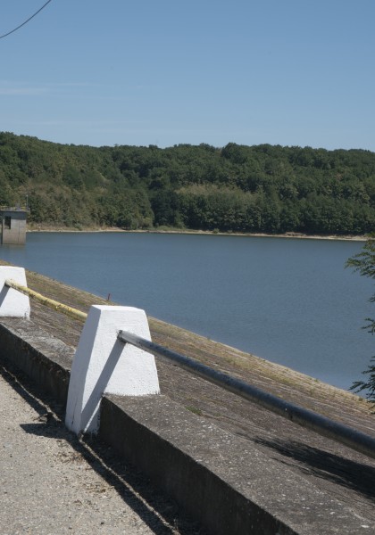 Lacul Tauț